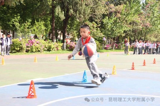 为什么篮球不同位置需要不同的训练重点_1